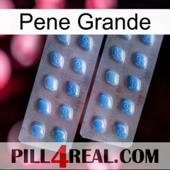 Big Penis viagra4